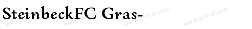 SteinbeckFC Gras字体转换